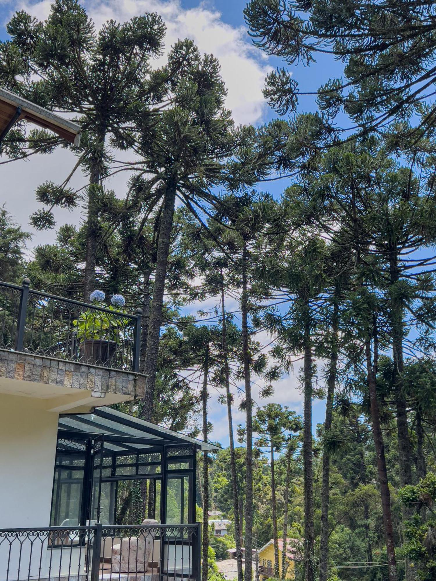 Hotel Recanto Do Pepe Campos do Jordão Exteriér fotografie